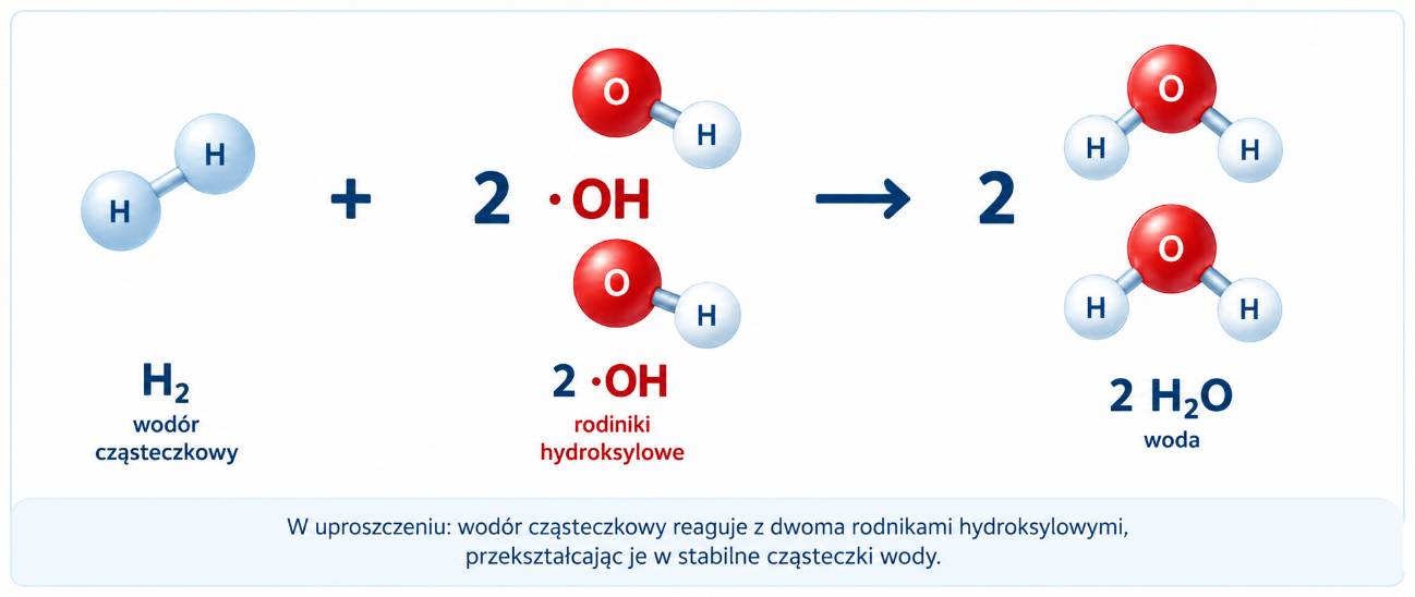 Równanie reakcji: H₂ + 2•OH → 2H₂O